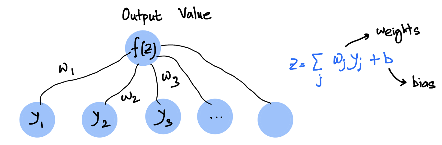 “Weights and bias of a sigle output neuron”